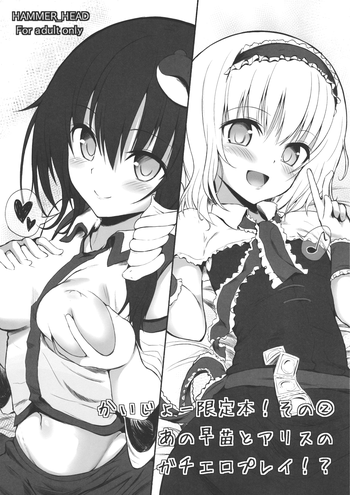 (SC58) [HAMMER_HEAD (Makabe Gorou)] Kaijou Gentei Bon! Sono 2 - Ano Sanae to Alice no Gachi Ero Play!? (Touhou Project)