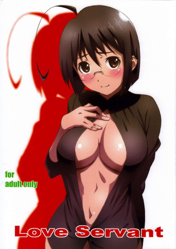(C84) [Studio N.BALL (Haritama Hiroki)] Love Servant (Servant x Service)