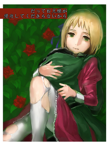[APH (Candy/あめ)] Because your big brother from being invaded you please (Switzerland x Liechtenstein)