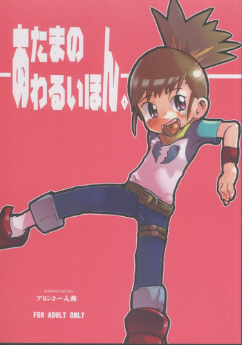 (SUPER11) [Bronco Hitoritabi (Various)] Atama no Warui Hon. (Digimon Tamers)