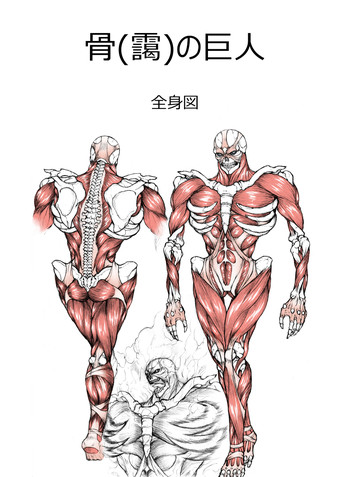 [Chaotic-Unknown] Ribs Prison (Attack on Titan)