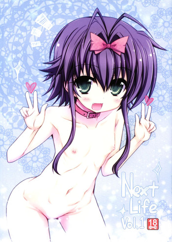 (C84) [Shiwodou. (Shiwo.)] Next Life Vol. 1 (Mahou Shoujo Lyrical Nanoha)
