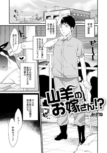 [Mizone] Yagi no oyomesan!? (Comic Anthology Qoopa Vol.5)
