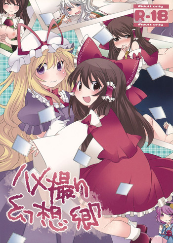 (COMIC1☆7) [Sunset Beach (Hammer)] Hamedori Gensoukyou (Touhou Project)