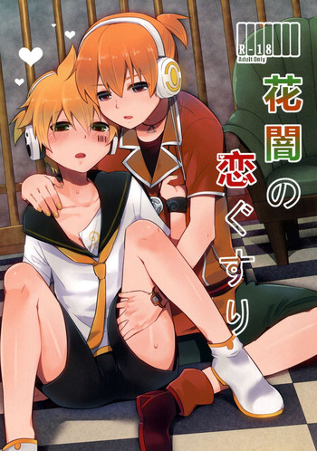 (Kagamine Paradise 2) [Kiina Vitamin (Mao)] Hanayami no Koi Gusuri (VOCALOID)