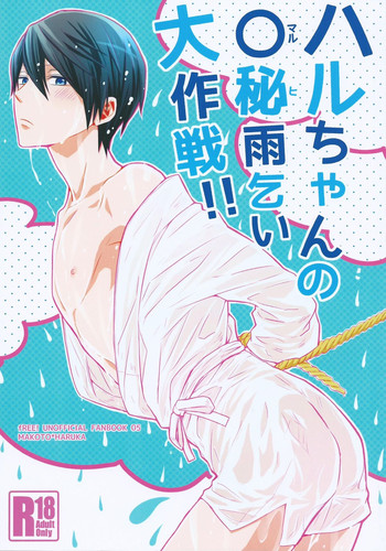 (Renai Endorphin) [Sneeeze (Kubu)] Haru-chan no Maru Hi Amagoi Daisakusen!! (Free!)