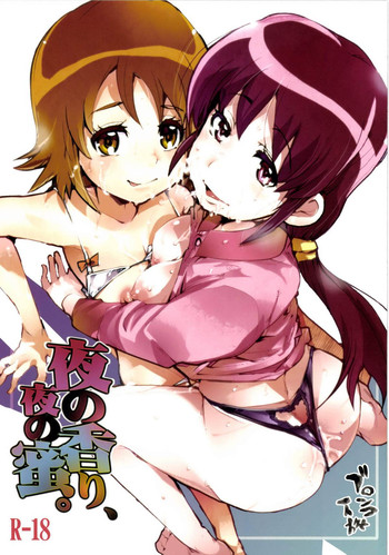 [Bronco Hitoritabi (Uchi-Uchi Keyaki)] Yoru no Kaori, Yoru no Mitsu. (HappinessCharge Precure!) [Digital]