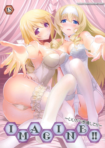 (COMIC1☆8) [Bloody Okojo (Mojyako, Caviar)] IMAGINE!! ~Ii kara Souzou shite!!~ | IMAGINE!!! ~Hurry Up and Imagine It!!~ (IS <Infinite Stratos>) [English] [Life4Kaoru + Rapidswitch]