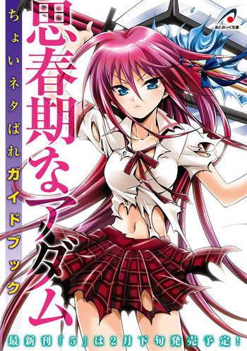 Shishunki na Adam Choi Netabare Guidebook (a bit spoilerish guidebook)