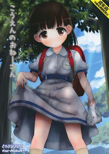 (C86) [Triple Pinch! (Hikami Izuto)] Kouen No Oneesan