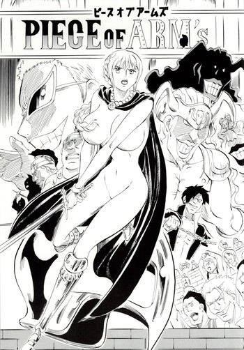 [Busou Megami (Kannaduki Kanna)] PIECE OF ARM's (ONE PIECE)
