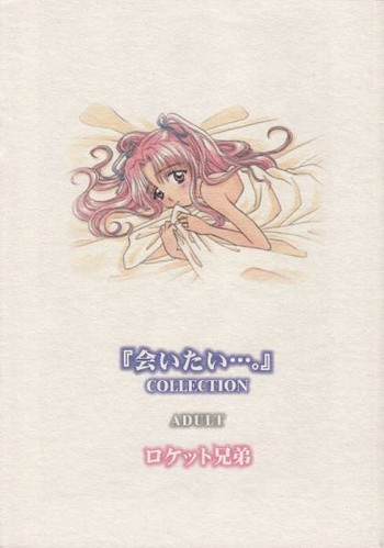 (C55) [Rocket Kyoudai] Aitai... COLLECTION (Sentimental Graffiti) [Incomplete]