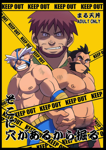 [Maru Tendon (Eikichi)] Soko ni Ana ga Aru kara Horu (Pokémon) [Digital]