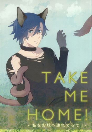 [CaPiBa (Mikawa Mimi)] Watashi o Oshiro e Tsuretette! - TAKE ME HOME! (Uta no Prince-Sama)