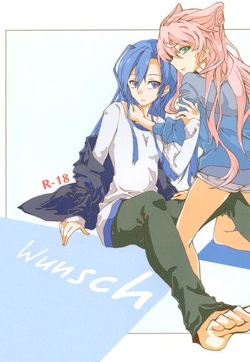 (C85) [HB (Futoo)] Wunsch (Senki Zesshou Symphogear)