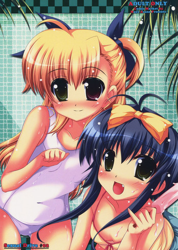 (C84) [Maya-tei (Asano Maya)] Sexual Drive #02 (Magical Girl Lyrical Nanoha)