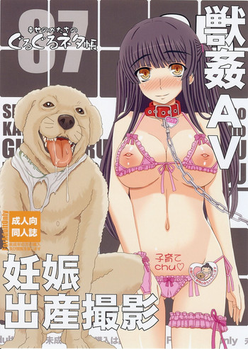 (C87) [Shiawase Kyouwakoku (Shiawase no Katachi)] Shiawase no Katachi no Guruguru Netachou 87
