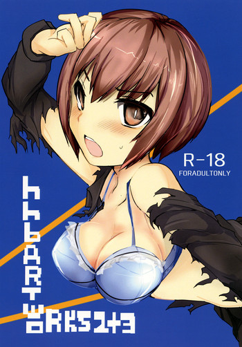 [/￥] hhb_Artworks 2+3 (Devil Survivor 2) [Digital]
