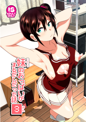 [Supe (Nakani)] Imouto no Oppai ga Marudashi Datta Hanashi 3 [English] [desudesu] [Digital]