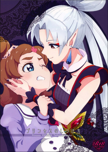 (Rainbow Flavor 13) [Yukirinrin! (Oyu)] Princess no Shitsukekata | Princess Training (Go! Princess PreCure) [English] [Goggled Anon]