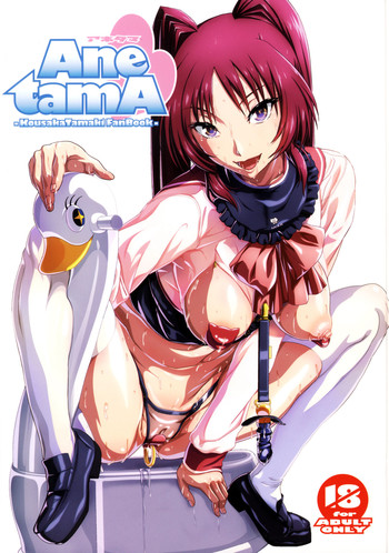 (COMIC1☆10) [MBL (Various)] Ane tamA -Kousaka Tamaki Funbook- (ToHeart2)