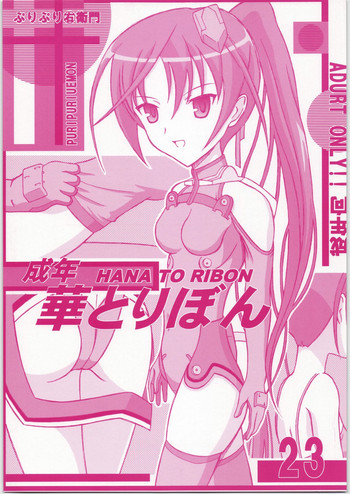 (C72) [HANA TO RIBON (Puripuri Uemon)] Seinen Hana To Ribon 23 (Sky Girls)