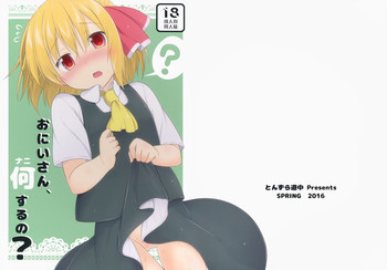 (Reitaisai 13) [Tonzura Douchuu (Kazawa)] Onii-san, Nani Suru no? (Touhou Project)
