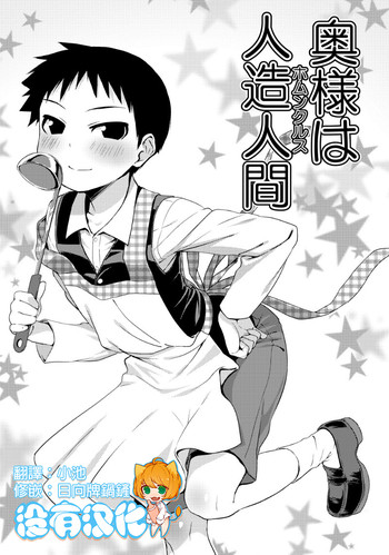 [Yabure Kabure (Agemon)] Okusama wa Homunculus (Fullmetal Alchemist) [Chinese] [沒有漢化]