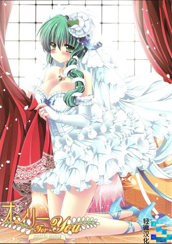 (C80) [Wish +Kibou no Tsubasa+ (Sakurano Ru)] Only for you -Sanae- (Touhou Project) [Chinese] [轻微汉化]