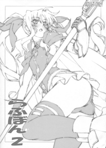 (C87) [PHYSALIS (Seresu)] Roughbon 2 (Mahou Shoujo Lyrical Nanoha)