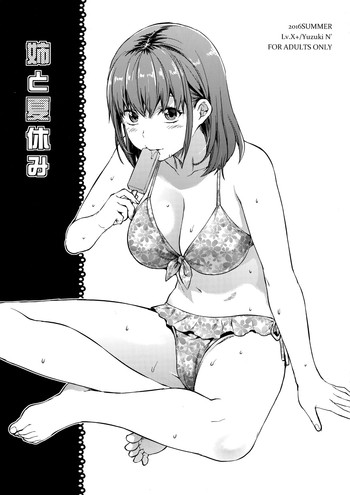 (C90) [LV.X+ (Yuzuki N Dash)] Ane to Natsuyasumi