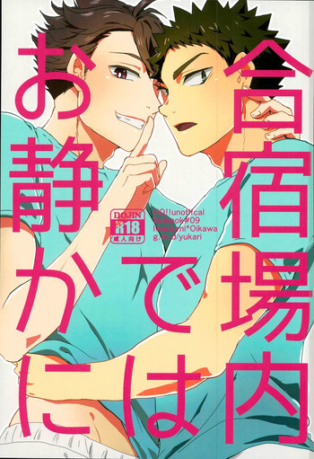 (C90) [g.m.d (Yukari)] Gasshuku Jounai dewa Oshizuka ni (Haikyuu!!)