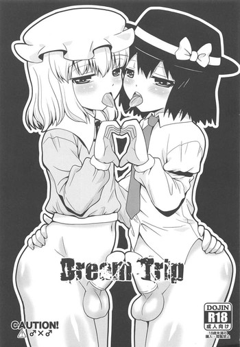 (C91) [Madou Shiryoushitsu (Arashi-D-Akira, Sasaki Teron, emina)] Dream Trip (Touhou Project)