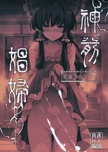 (C91) [Armament Calcium (Take Calcium)] Shinzen Shoufu (Touhou Project)