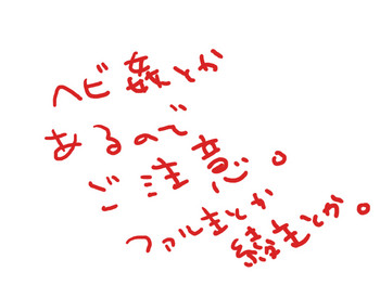 Shimotsuki Makoto — 【Restricted】 Serpent or Far Lord or Aya-sama 【R-18】
