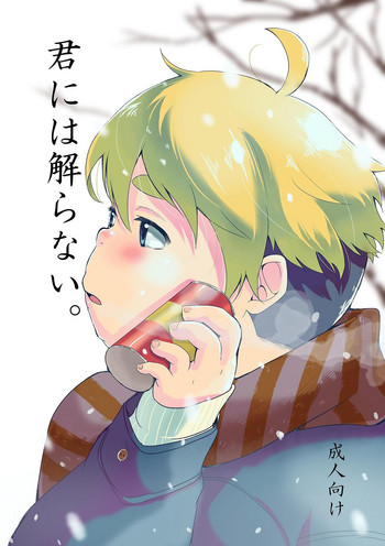 [707room (Maru)] Kimi ni wa Wakaranai. [Digital]