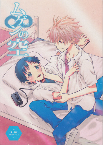 (C83) [RAYTREC (Fuyunagi Reku)] Mugen no Sora (Neon Genesis Evangelion)