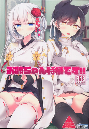 (C93) [Usotsukiya (Oouso)] Onee-chan Tokken desu!! (Azur Lane)