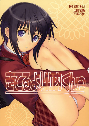 (C73) [T2 ART WORKS (Tony Taka)] Kiteruyo! Takeuchi-kun (Bamboo Blade) [English] =HxHxH=