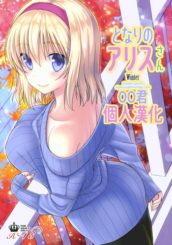 (C89) [Iiwake-Gaisya (Shigemiya Kyouhei)] Tonari no Alice-san Fuyu (Touhou Project) [Chinese] [oo君個人漢化]