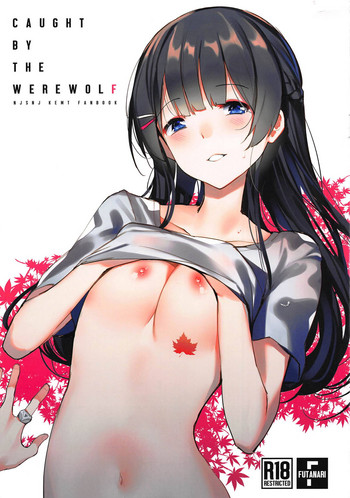 (C95) [virophilia (Orihi Chihiro)] Caught By the Werewolf (Tsukino Mito, Higuchi Kaede) [Chinese]