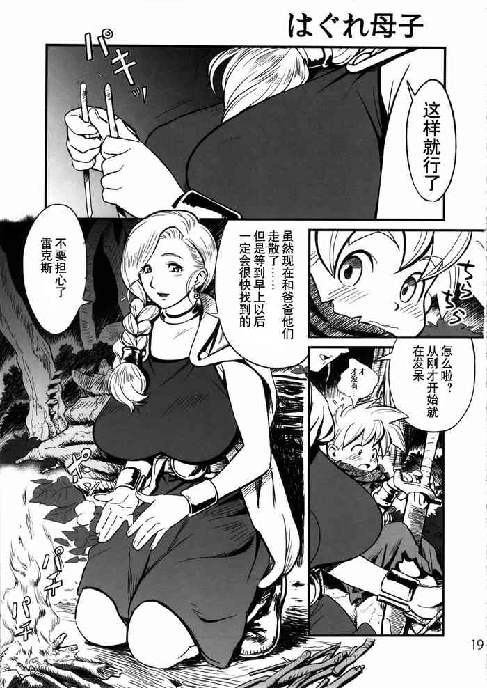 (C85) [VOLVOX (Chirima)] Hagure Boshi (Dragon Quest V) [Chinese] [臭鼬佬个人汉化001]