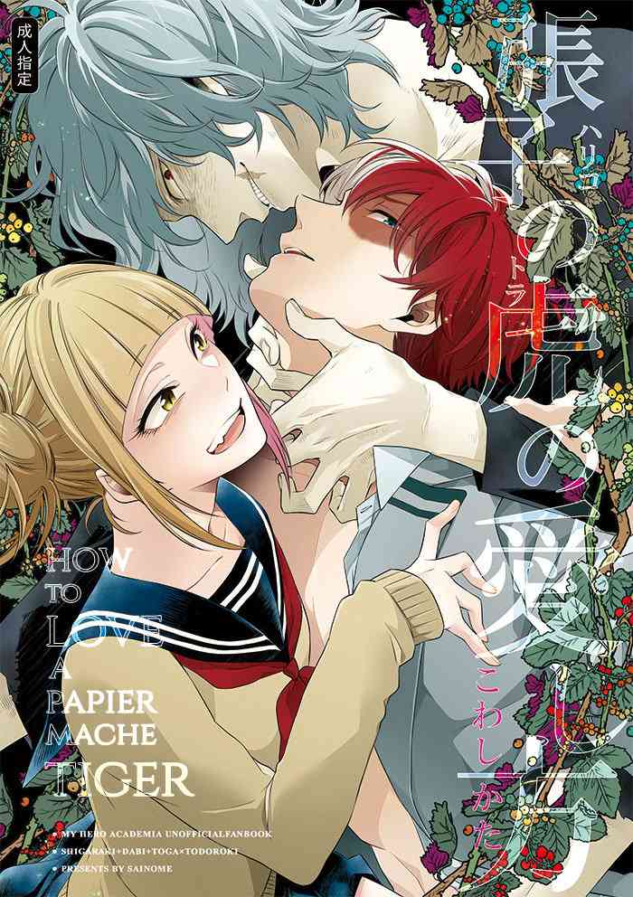 (Douyara Deban no Youda! 10) [sainome (Sunako)] Hariko no Tora no Aishikata (Boku no Hero Academia) [English]