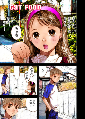 [Nakamura Mizumo] Cat Food