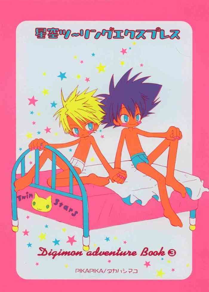 [PIKAPIKA (Takahashi Mako)] Hoshizora Touring Express (Digimon Adventure)