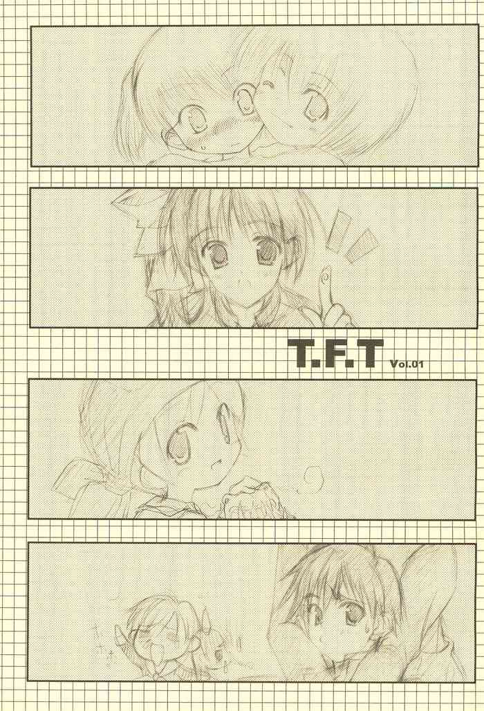 (CR35) [THE FLYERS (Naruse Mamoru, Nishino Hikodge)] T.F.T (Various)