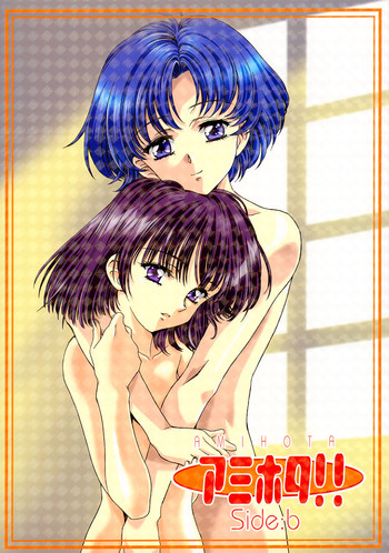 (C63)[Hen Rei Kai (Kawarajima Kou)] Amihota!! Side:b (Sailor Moon)