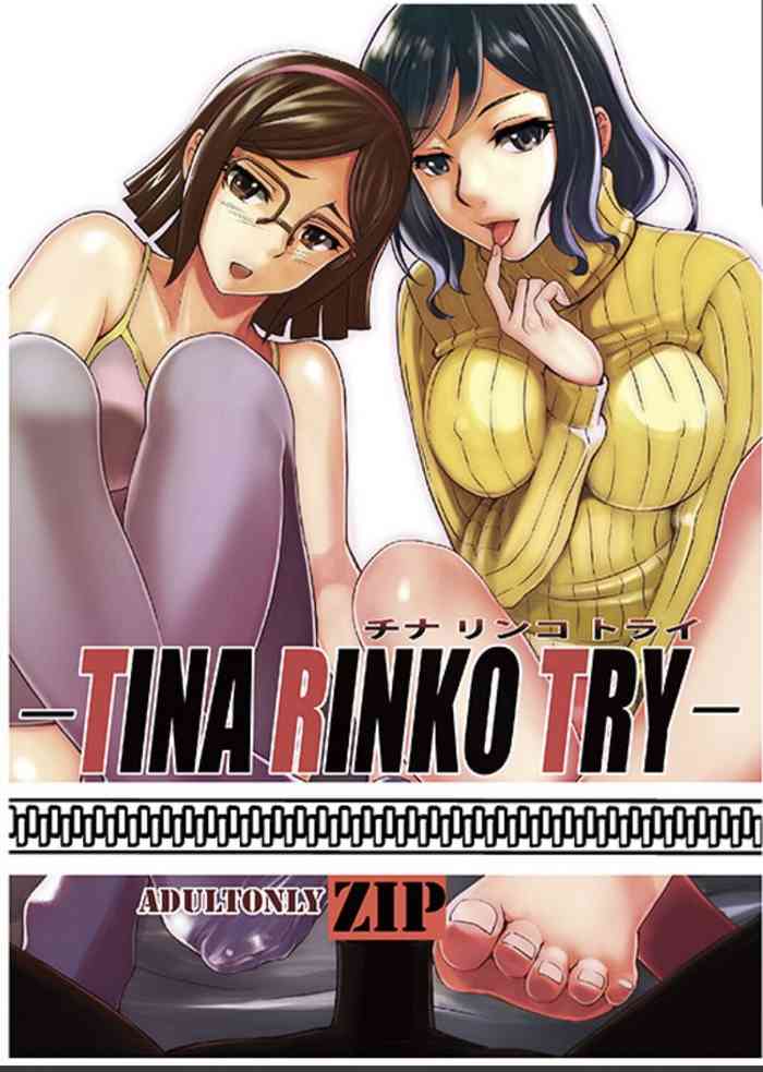(C88) [Aspherical (Zip)] TINA RINKO TRY (Gundam Build Fighters)