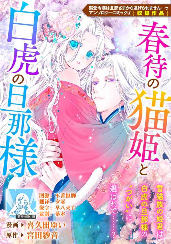 [Kikuta yui Miyata saoto] Haru machi no neko hime to byakko no dan'na-sama | 待春的猫公主与白虎的夫君 (Dekiai reijō wa dan'na-sama kara nige raremasen… ~tsuansorojīkomikku: 3) [Chinese] [莉赛特汉化组]
