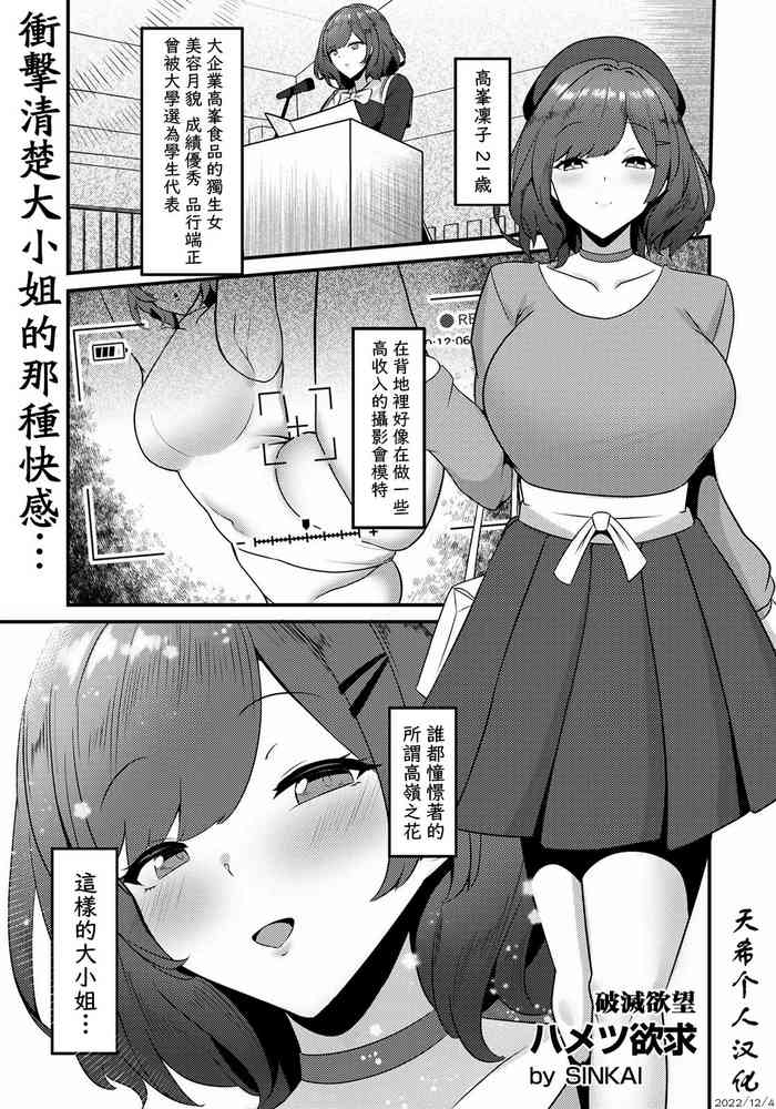 [sinkai] Shattered desire [天希个人汉化]